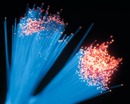 fiber-optic1.jpg